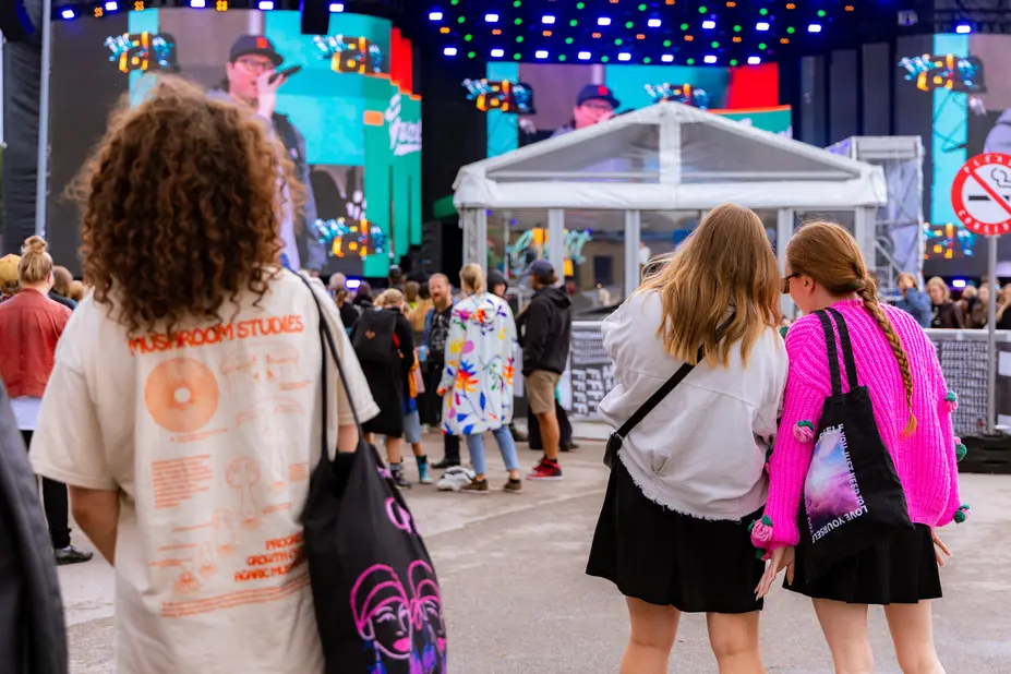 Audience at a music festival