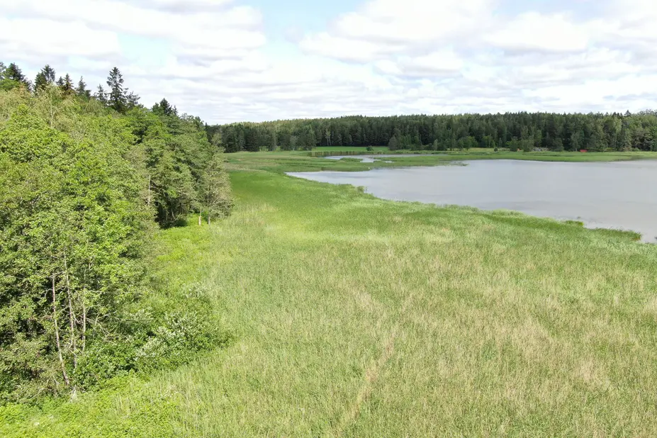 Porvarinlahden etelärannan ranta-aluetta.