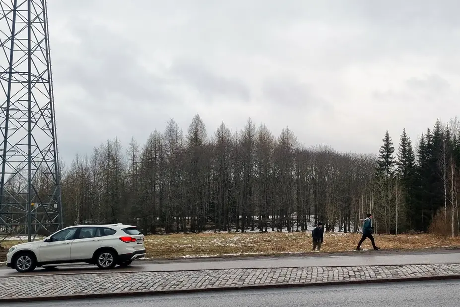 Tiellä kulkee auto ja tien takana kasvaa puita.