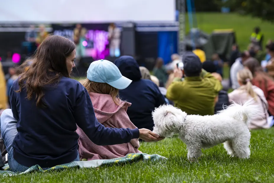 Människor sitter på gräsmattan, en vit hund äter ur en hand.