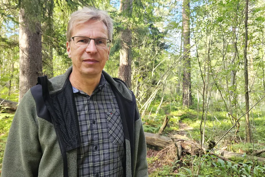 Metsäpalvelupäällikkö Mikko Vuohelainen metsässä.