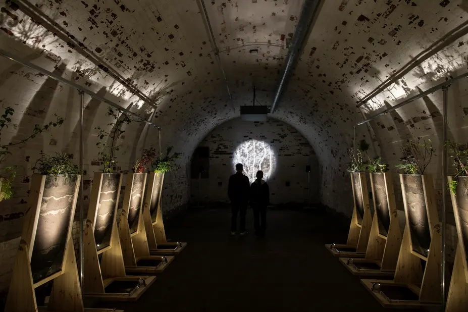 Tania Candiani: Subterra (Subterranean), 2025, detail. Helsinki Biennial 8.6.–21.9.2025, Vallisaari Island.