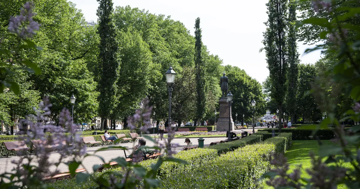 Local detailed plan for Esplanadi to protect the lawn areas, canopy kiosks and historic rows of trees