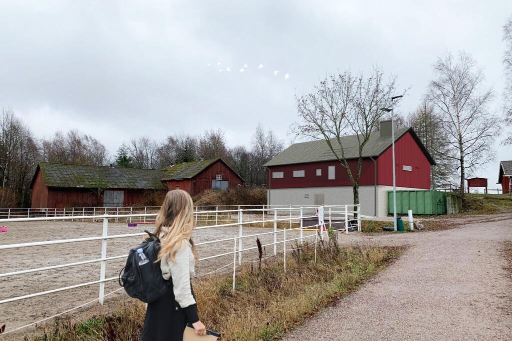 Make's, Laku's, Gina's and Aku's new stable is part of the City of Helsinki's youth work. Photo: HMT Arkkitehdit Oy