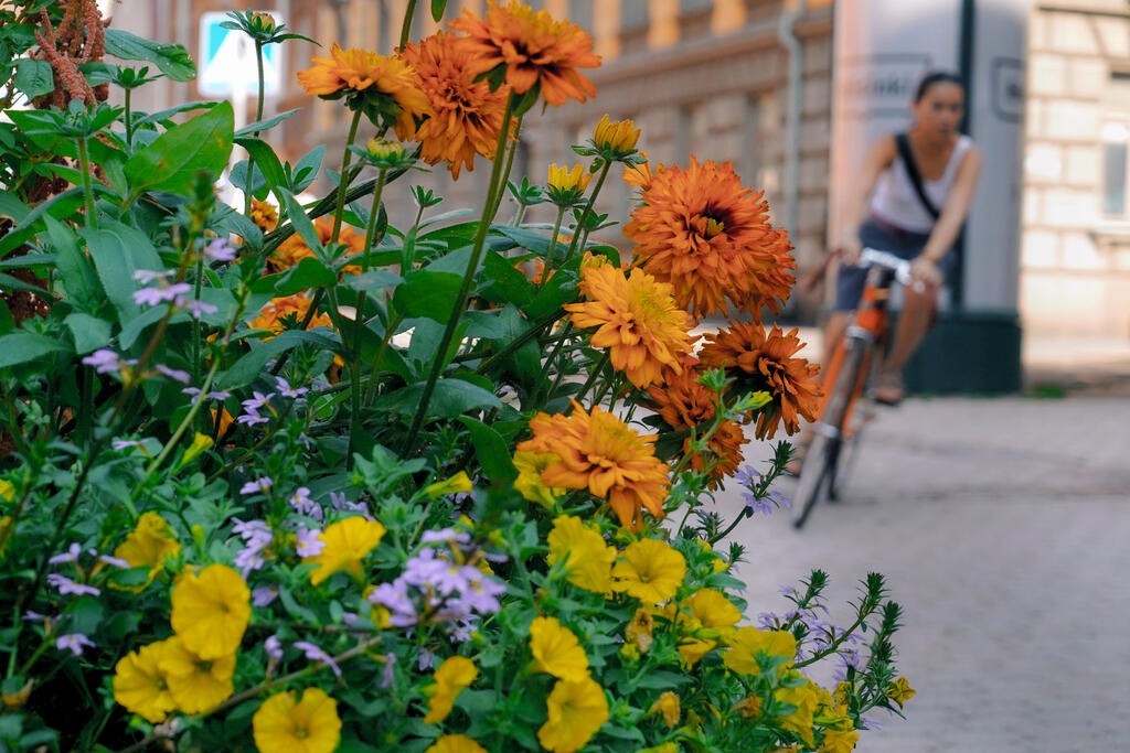 Värikkään kukkaistutuksen takaa kaartaa vauhdikas pyöräilijä kohti katsojaa.