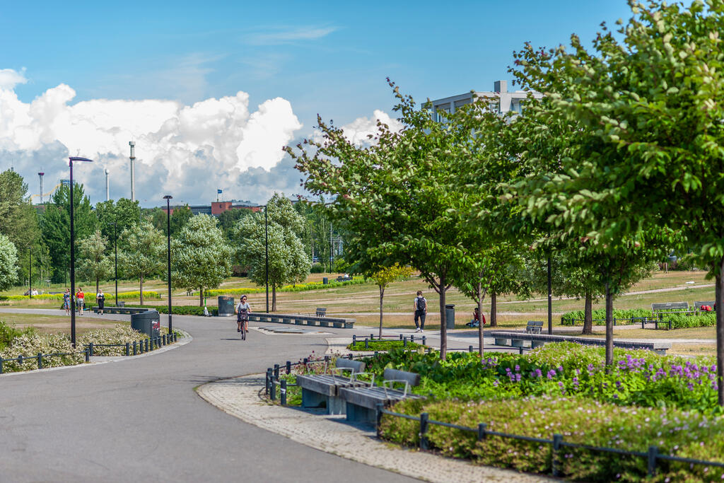 Töölönlahdenpuisto on yksi Helsingin tunnetuimmista virkistysalueista.  Kuva: Hemmo Rättyä