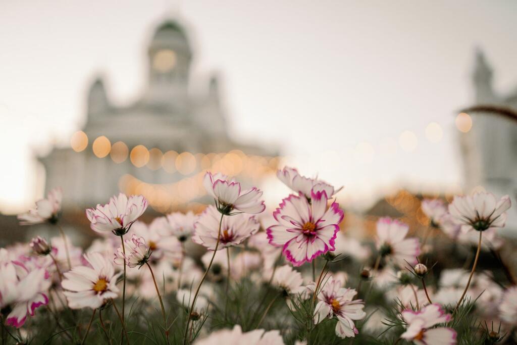 The City of Helsinki’s Annual Report is compiled by the City Executive Office in cooperation with the city’s divisions. Photo: Camilla Bloom.