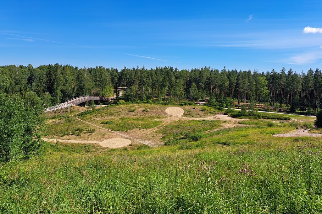 disc golf course during the summer.