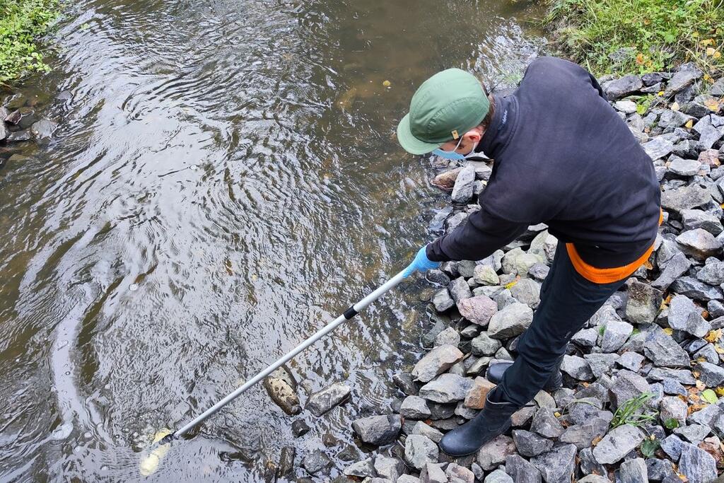 Tutkimuksissa otetaan näytteitä myös Vartiokylänlahteen laskevien purojen varsilta.  Kuva: Ella Pippingsköld / Alleco Oy