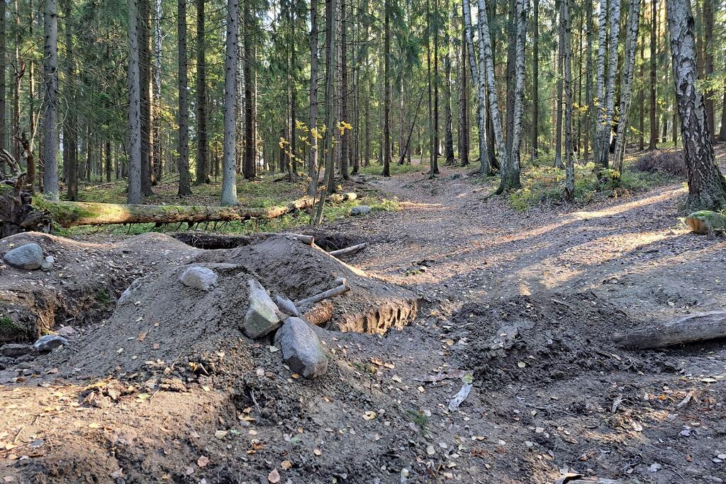 Earthmoving in Viikki forest.