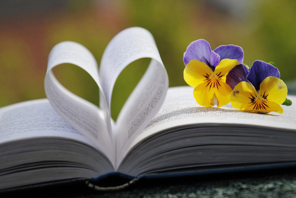 Kirja ja kukkia. Kuva: Pixabay