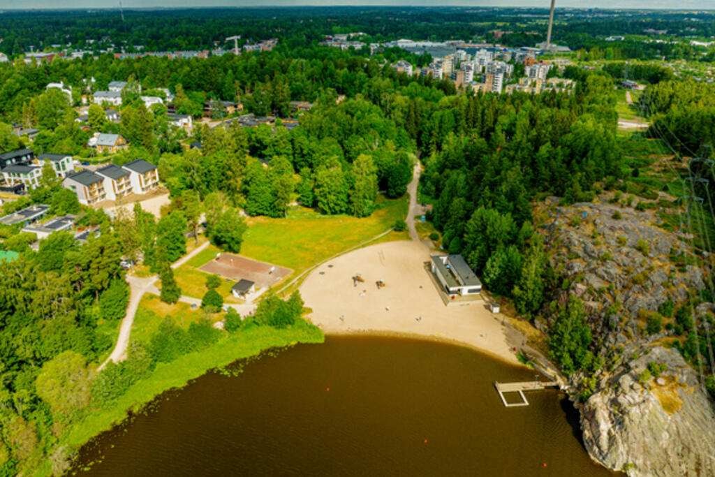 Giftig sprängört har observerats i sävruggarna bredvid badstränderna i Lillforsen, Baggböle och Staffansslätten  Bild: Akifoto oy.