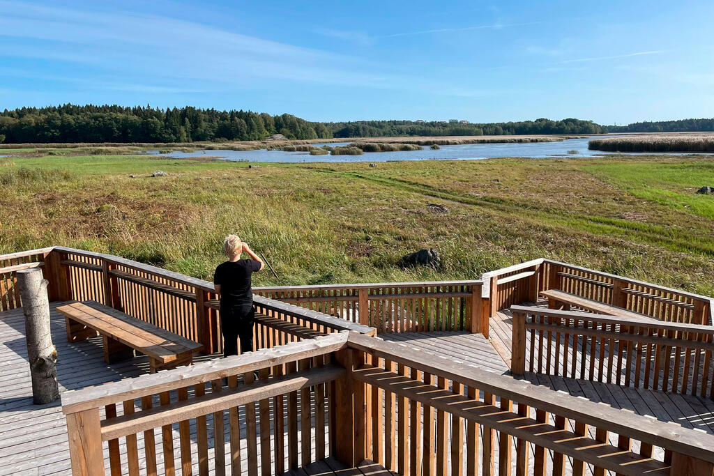 Från utsiktsplattformen i Hakalaudden man kan beundra fåglarna och landskapen i Gammelstadsviken i flera olika riktningar. Bild: Tiina Terävä