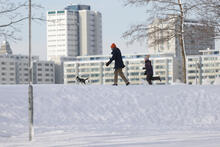 Kaksi henkilö ulkoiluttaa koiraa Tervasaaressa talvella.