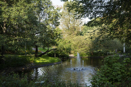 Alppipuiston lampi ja suihkulähde.