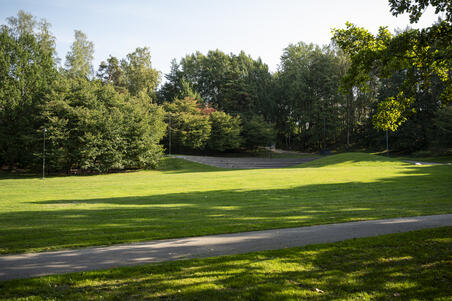 Alppipuiston nurmikenttä ja puistokäytävä.