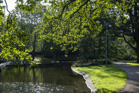 Alppipuiston puistokäytävä, lampi ja etualalla puun oksia.