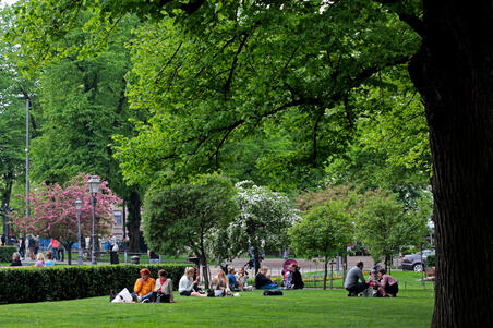 Ihmisiä kesäpäivää viettämässä Esplanadinpuistossa.