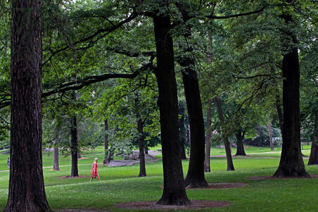 Lehtipuita Kaivopuiston nurmialueella ja punamekkoinen nainen kävelemässä.