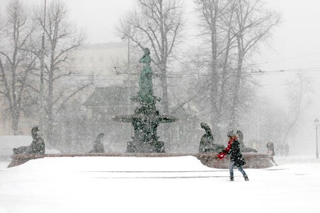 Havis Amanda talvella.