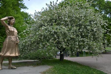Schalininkirsikka ja patsas Kaivopuistossa.