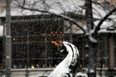 Havis Amanda -patsaan yksityikohta talvella.