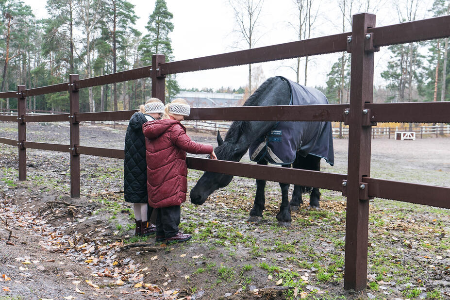 Kaksi lasta katsomassa hevosta aitauksen vieressä.