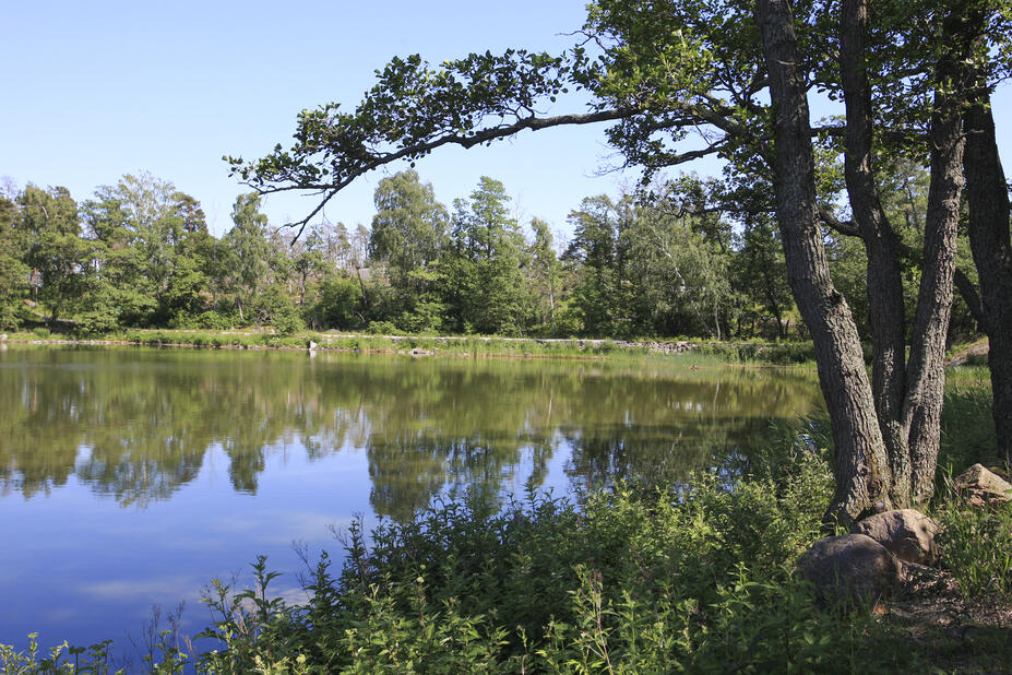 Kuva: Helsingin kaupunki