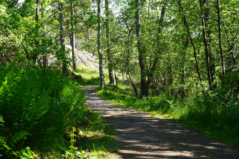 Hiekkatie Pihlajasaarella.