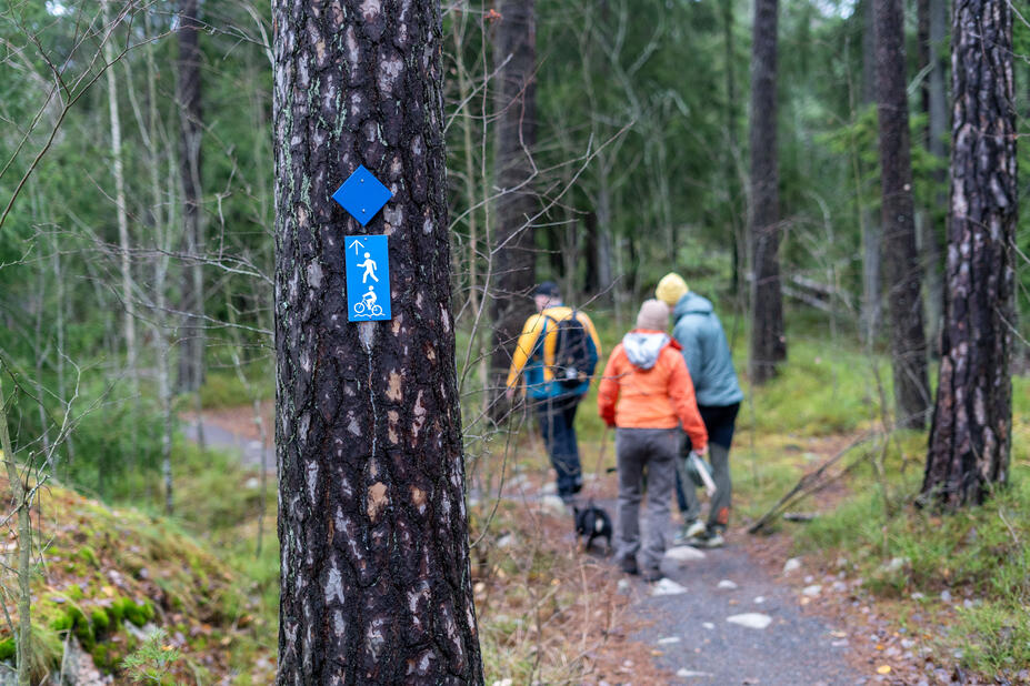 Vandrare som strövar omkring i Hallonbergets naturskyddsområde. 