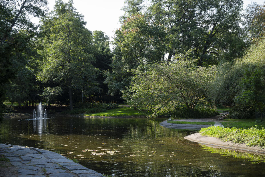 Alppipuiston lampi ja suihkulähde.