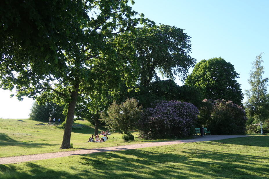 Kaivopuiston nurmialue.