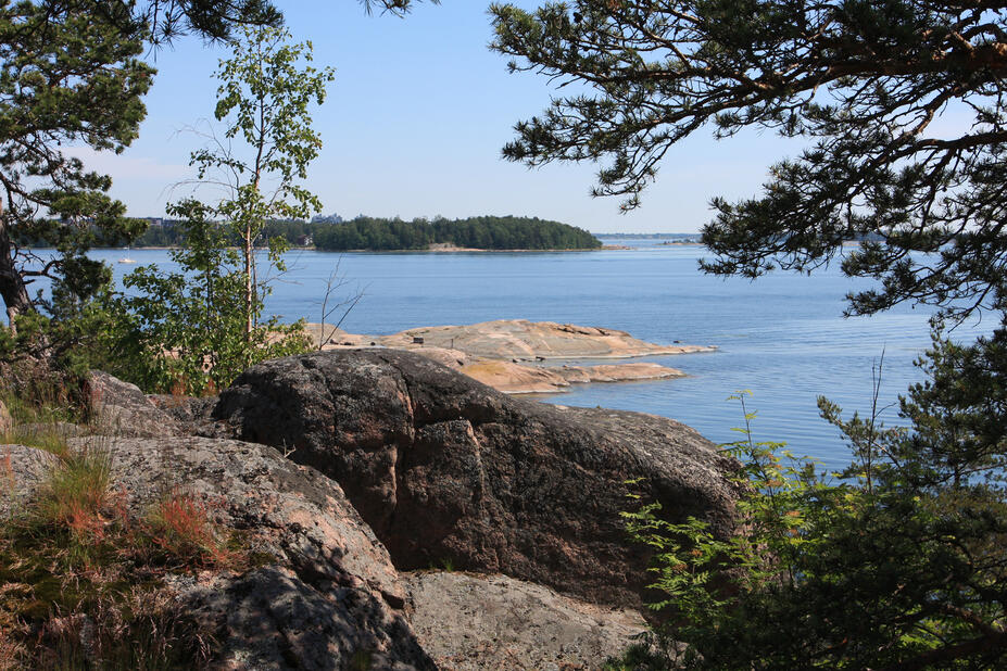 Kalliota edessä, näkymä puiden lomasta merelle.