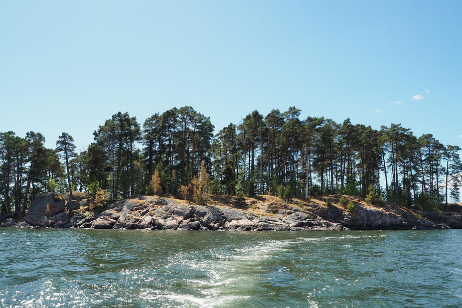 Kallioinen pienehkö saari, jossa kasvaa mäntyjä.