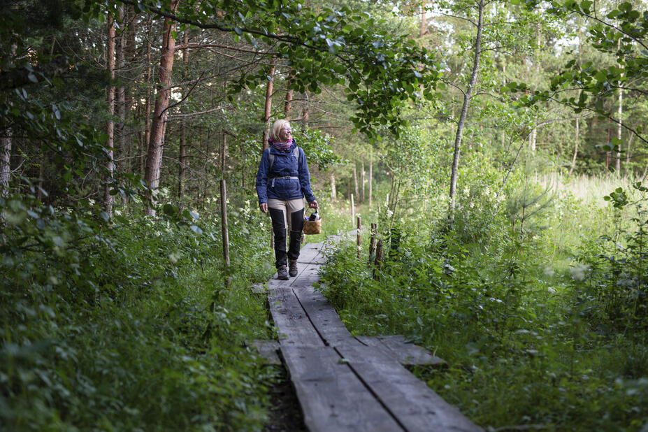 Retkeilijä kävelee pitkoksilla.