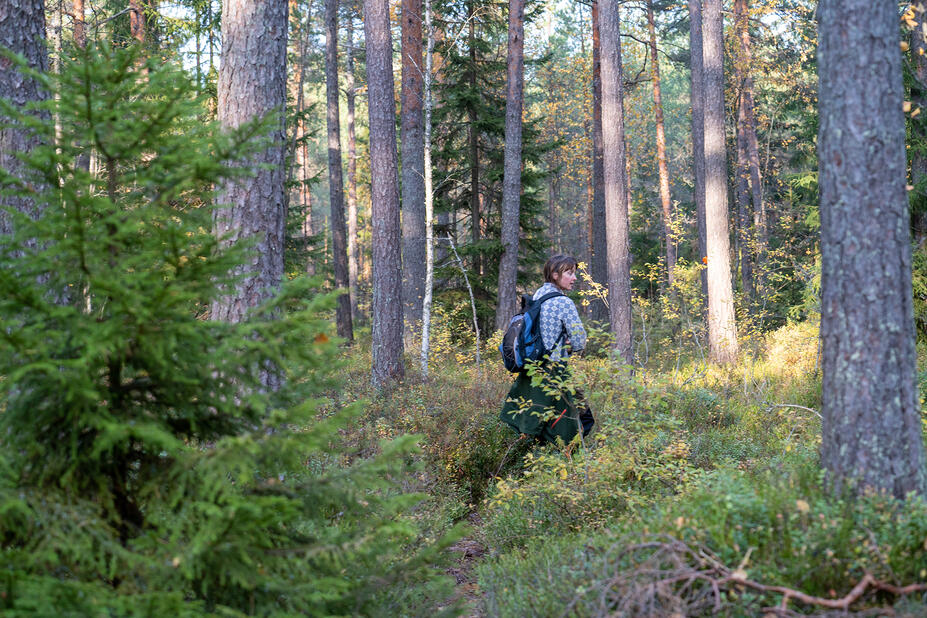 Henkilö metsässä.