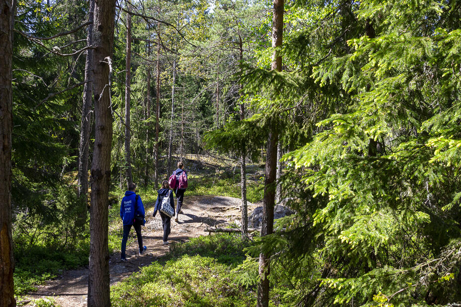 Kolme henkilöä kulkee metsäpolulla.