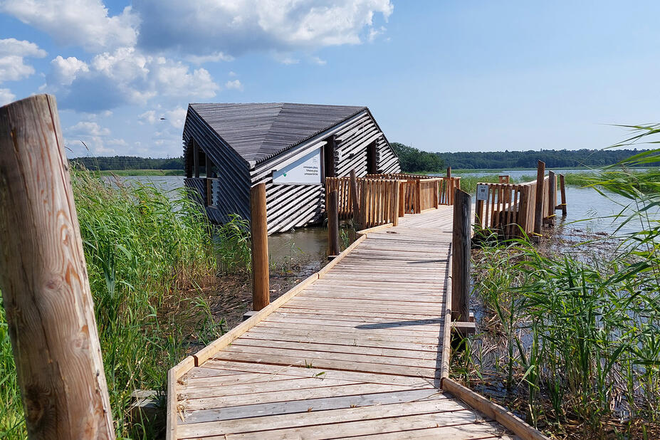 Lammassaari hide. Photo: Mari Ahrenberg / Stara