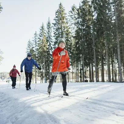Kolme hiihtäjää ladulla, taustalla puita.