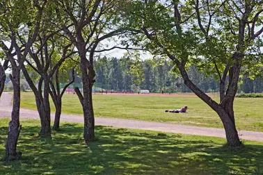 Henkilö makaamassa auringossa alakivenpuiston nurmialueella.