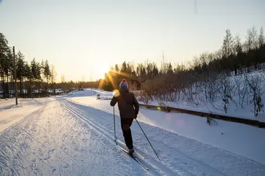 Henkilö hiihtämässä Paloheinän ladulla.