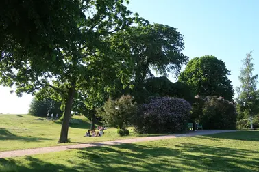 Brunnsparkens gräsmatta.