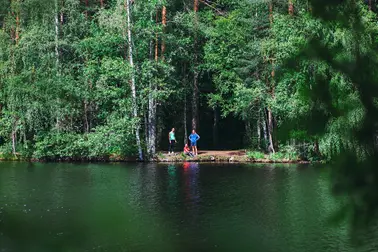 Three people in the forest’s edge on a waterfront.