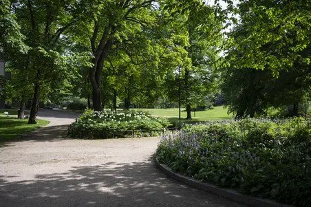 Perennaistutukset Kaivopuistossa.