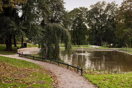 Sibeliuksenpuiston lampi.