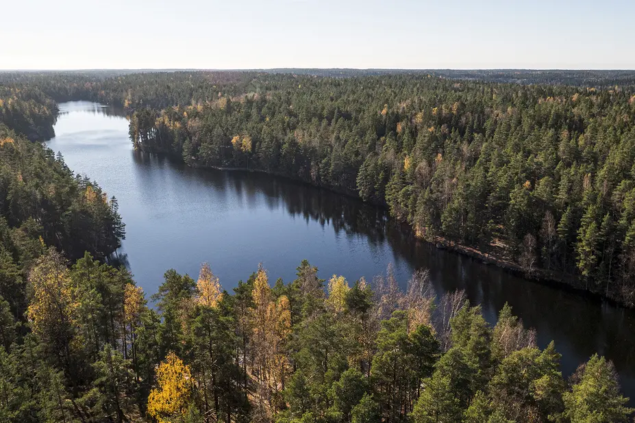 Flygfoto av vattendragen och skogen i Luk friluftsområde.