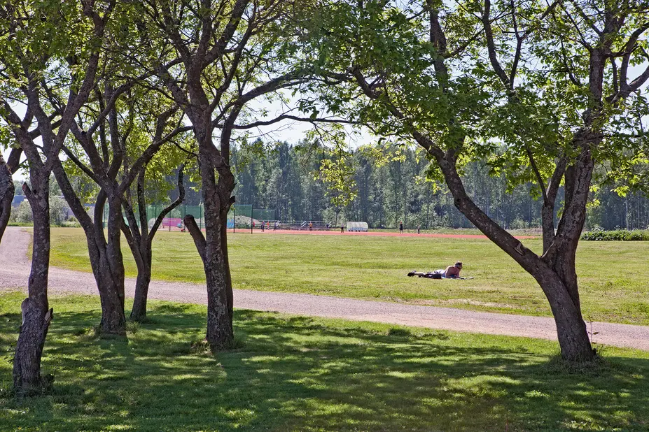Henkilö makaamassa auringossa alakivenpuiston nurmialueella.