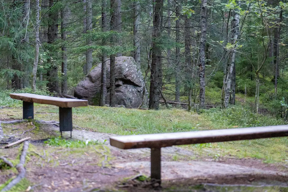 Kaksi penkkiä Siimespolun varrella 