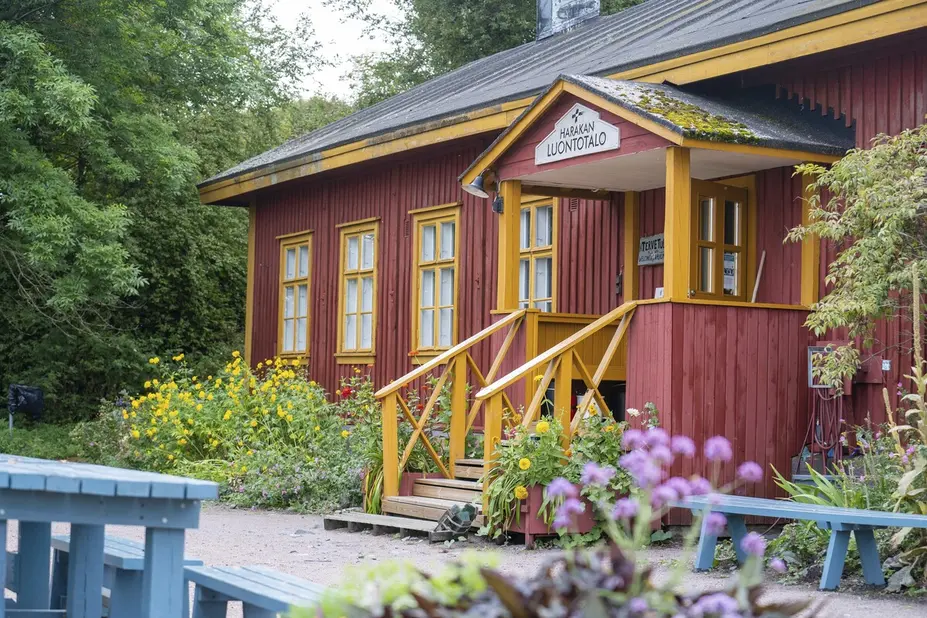 Harakan luontotalo jonka edustalla eväspöytiä