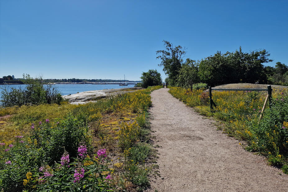 Hiekkapohjainen kapea tie meren tuntumassa